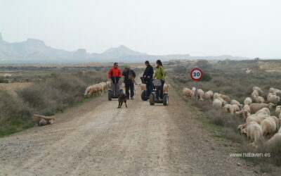 Aprender a conducir un segway para explorar paisajes infinitos