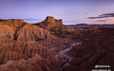Visita guiada bardenas reales para grupos en autobús