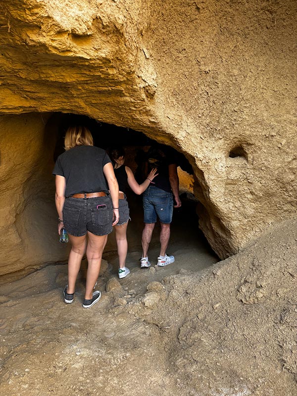 Nataven en Bardenas Reales de Navarra