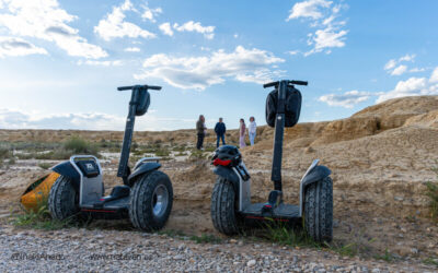 Conservación Bardenas Reales: El Futuro de las Bardenas Reales y el compromiso.
