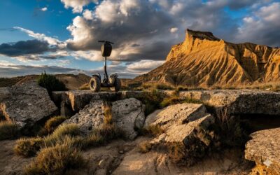 Los cimientos de un gigante: objetivos y fines para la conservación de las bardenas reales