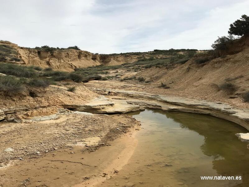 Paisaje de las Bardenas Reales con humedales y zonas de vegetación bajo gestión ambiental.