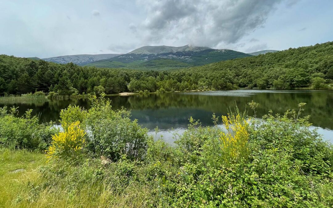 Paisaje del Moncayo en primavera