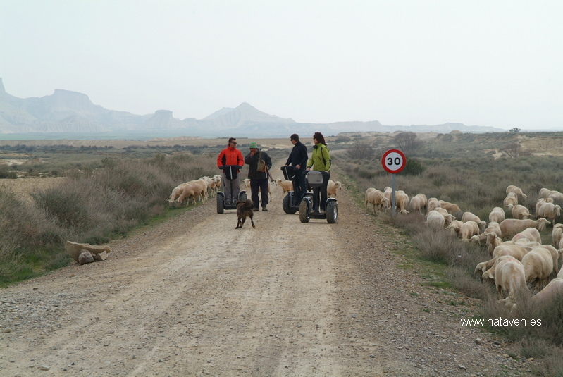 Aprender a conducir un segway para explorar paisajes infinitos