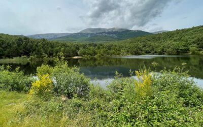 Parque Natural del Moncayo