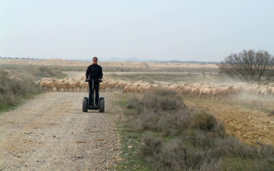 Cómo conducir un segway